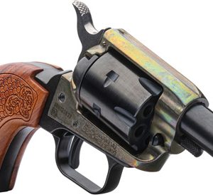 HERITAGE BARKEEP .22LR FS 2"