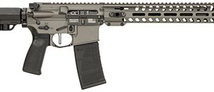 Patriot Ordnance Factory 02046 Minuteman 5.56x45mm NATO 30+1, 13.75" Black Steel Threaded Barrel, Tungsten Aluminum Receiver 13" Renegade Rail Handguard