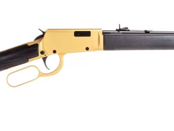 ROSSI RIO BRAVO 22LR GLD/BK 18" 15+1