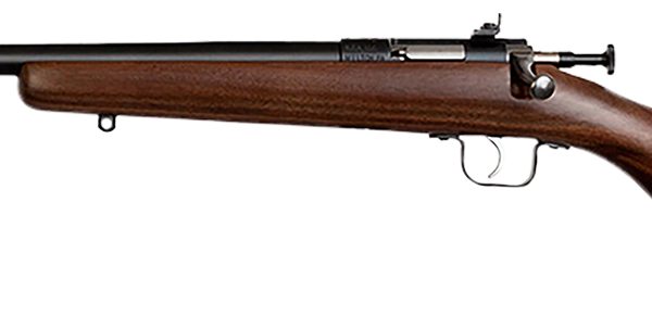 Chipmunk 0001LH Youth  Youth 22 LR 1rd 16.13" Blued Steel Barrel & Receiver, American Walnut Fixed Wood Stock, Left Hand
