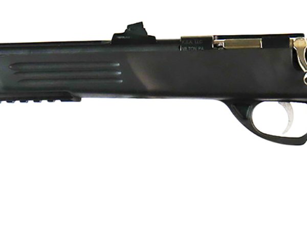 Crickett KSA693 Adult Pistol  22 LR 1rd 10.50" Blued Threaded Barrel w/Cap, Williams Fire Sights, Integrated Picatinny Accessory Rail, Synthetic Grip, Rebounding Firing Pin Safety