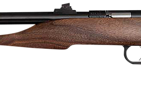 Chipmunk 40001 Hunter  Youth Frame 22 S/L/LR Single Shot 9" Threaded Blued Steel Barrel, Walnut Frame, EZ Loader