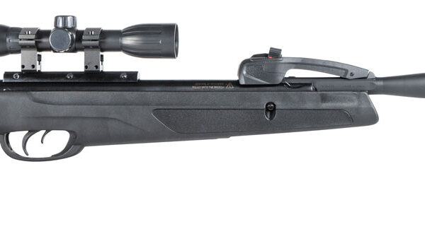 Gamo 611006875554 Swarm Whisper Gas Piston 22 Pellet 10rd Black Fluted/Rifled Barrel, Black Receiver Fixed All Weather Stock Scope 4x32mm