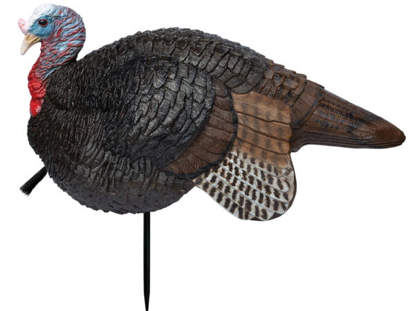 Primos 69074 Lil' Gobstopper Jake Turkey Species Multi Color