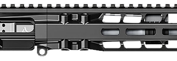 Radian Weapons R0027 Model 1 Complete Upper 300 Blackout 9" Black Nitride Barrel