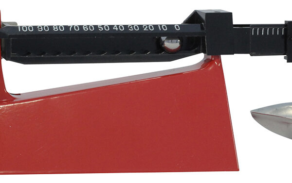 Lee Precision 90681 Safety Scale  100 Grains Capacity