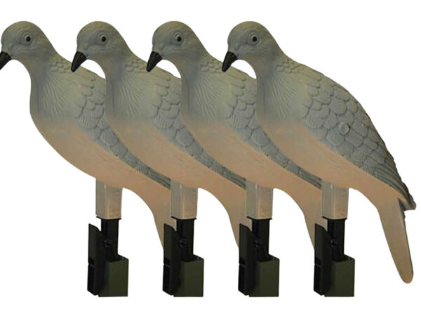 Mojo Outdoors HW9004 Clip On Dove Species Natural Plastic 4 Per Pack