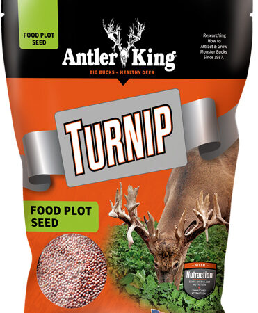 ANTLER KING TURNIPS 1# BAG - ANNUAL 1/8 ACRE