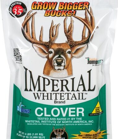 WHITETAIL INSTITUTE IMPERIAL - CLOVER 1/2 ACRE 4LB SPRNG/FALL
