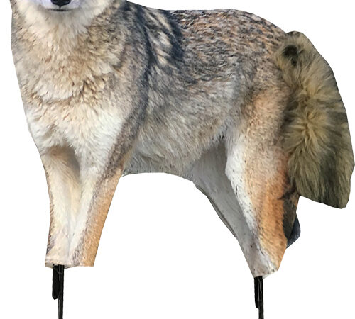 MONTANA DECOY COYOTE SONG DOG
