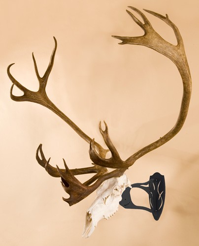 SKULL HOOKER BIG HOOKER - GRAPHITE BLACK - Image 2