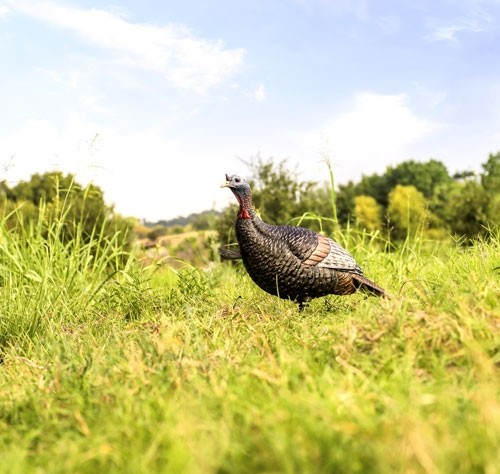 FLEXTONE THUNDER JAKE 1/4 - STRUT DECOY W/STAKE - Image 2