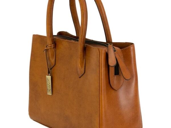 Cameleon Natalie Concealed Carry Purse Tan