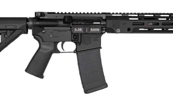 DIAMONDBACK FIREARMS DB15 SBR 5.56MM BLACK 10"    #