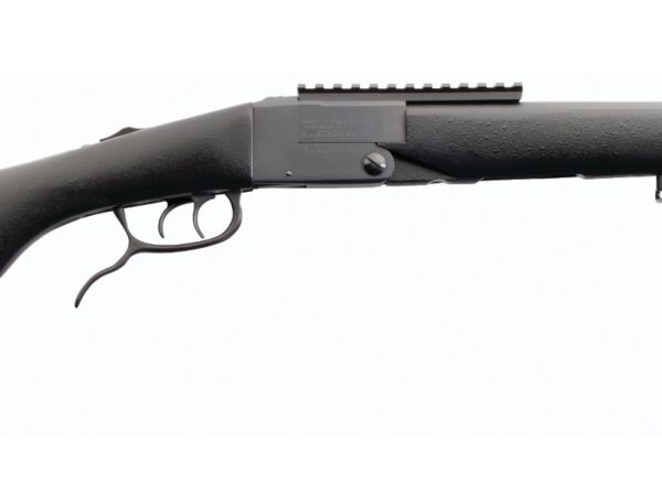 CHIAPPA FIREARMS DOUBLE BADGER DARK 22/410 20"