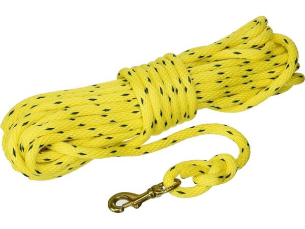 Omnipet Check Cord 40ft Yellow