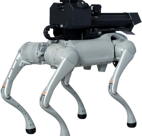 THROWFLAME THERMONATOR ROBOT - DOG FLAMETHROWER